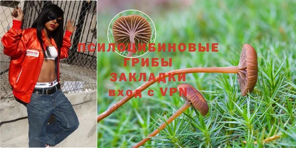 каннабис Алзамай