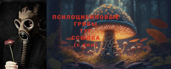 дживик Алексин