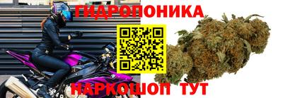тгк Лесосибирск