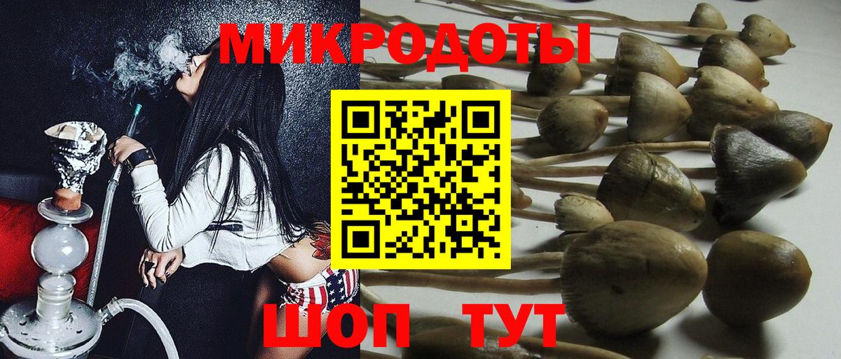 Псилоцибиновые грибы Psilocybe  где купить наркоту  Ишим  Вход с VPN 