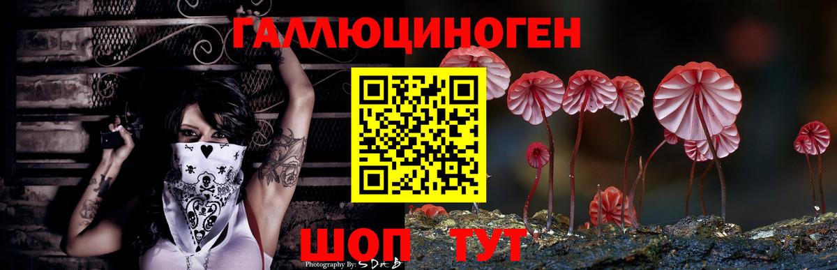 Псилоцибиновые грибы Cubensis Ишим