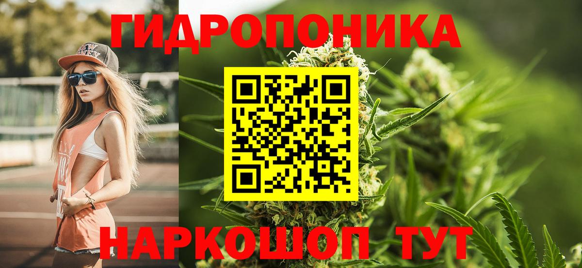 Бошки Шишки планчик Ишим